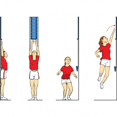 Vertical Jump Tip-2-Tip Sergeant Jump Board