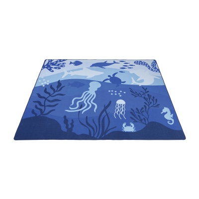 Classroom Marine Rug