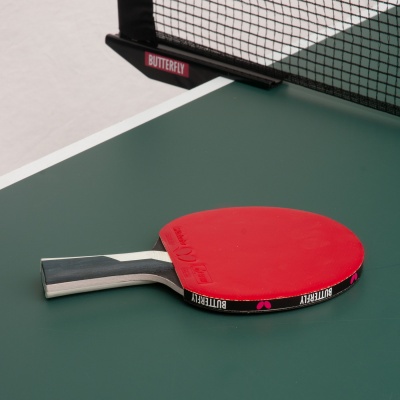 Butterfly Timo Boll Diamond Table Tennis Bat