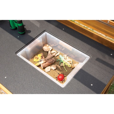 Children's Exploring Observation Table