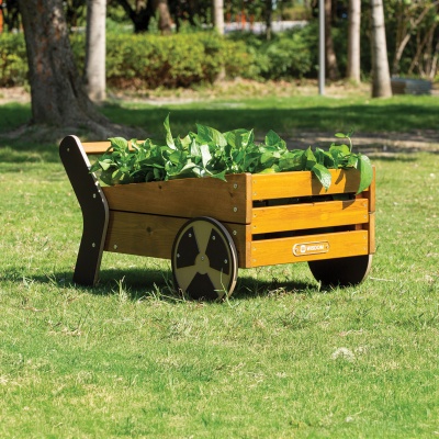 Children's Planting Cart