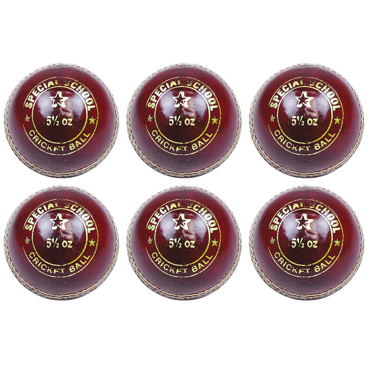 Mastersport Special School Cricket Ball