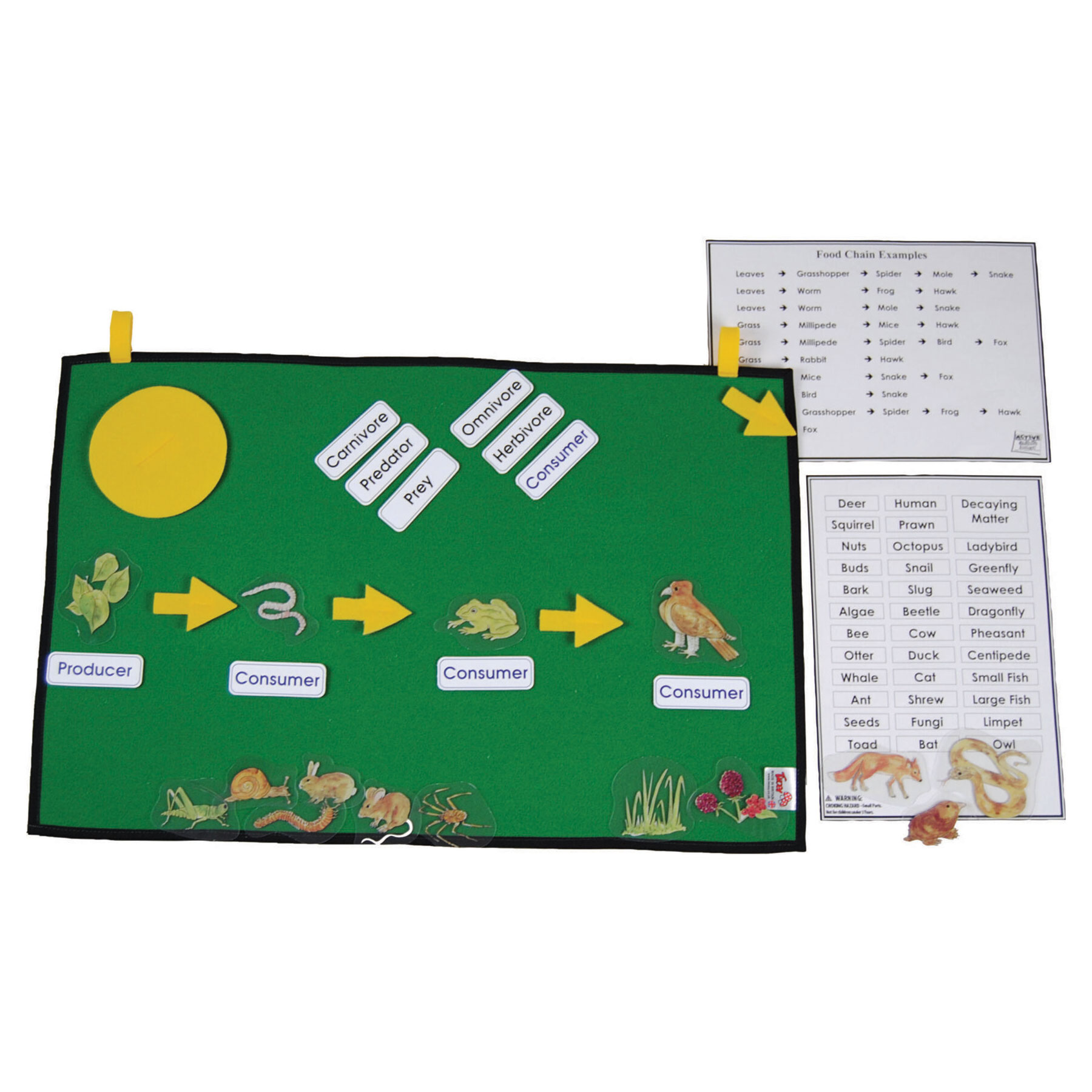 Foldout Food Chain