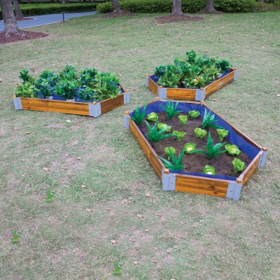 Little Garden Hexagonal Planting Set