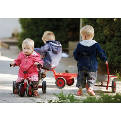 Winther Viking Mini Children's Push Bike for One